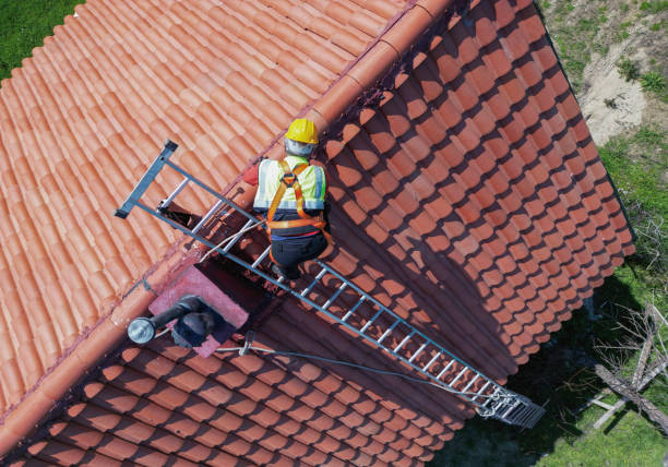 Best Chimney Flashing Repair  in Solon, IA